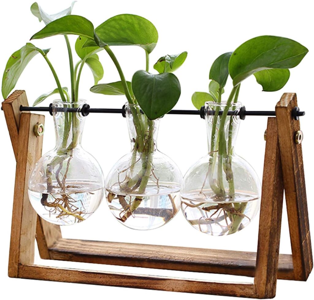 XXXFLOWER Plant Terrarium with Wooden Stand, Air Planter Bulb Glass Vase Metal Swivel Holder Retro T…